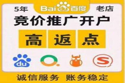 行业领先企业的网站sem托管实践